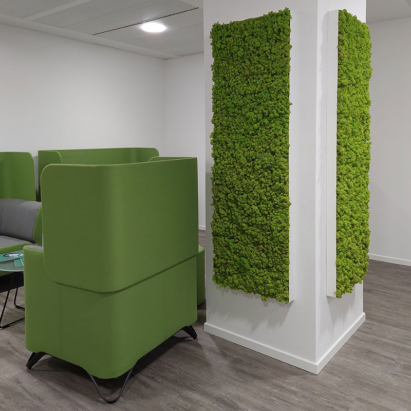 Grüne Wand von FLOREANA